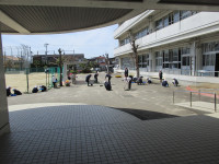 MG_0529