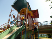 IMGP0330