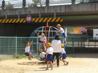 IMGP0358