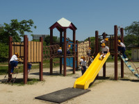 IMGP0155