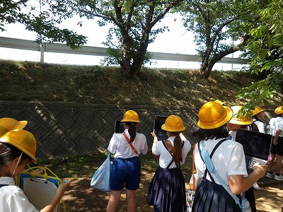 9236