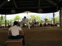 IMG_4351