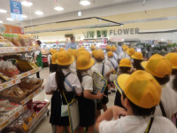IMGP1542